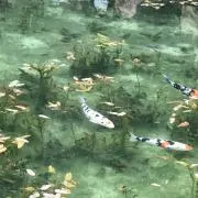 まるこ☆プロフ確認お願いします。