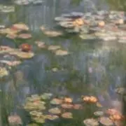 ひよこ豆の画像