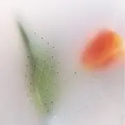 n77の画像