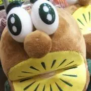 メロンの画像