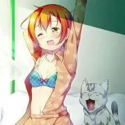 猫黒