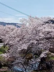ぱんだの画像