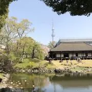 さとの画像