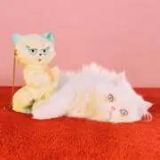 Riris★表示価格でご検討ください★の画像