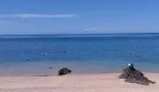 anriの画像