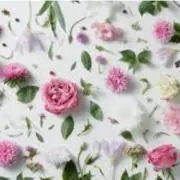 みい
