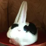syo~ko