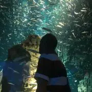 Azi ✌️の画像
