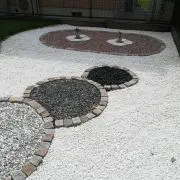 かっすぃーの画像