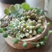 ☆スマイル☆の画像