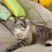 ロープ