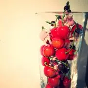 ピスタチオの画像