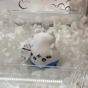 ねのの画像