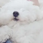 ♡即日発送可能♡