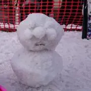 サワの画像