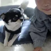 せいの画像