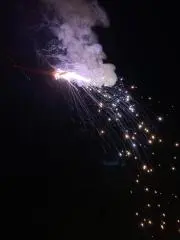 ノヒトの画像