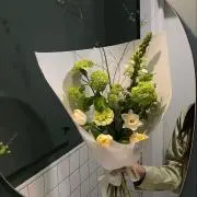 Yuの画像