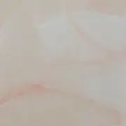 さくらの画像