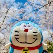 nanananaの画像
