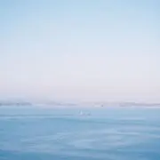 わたの画像
