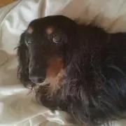ナオたん