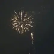 かさいの画像