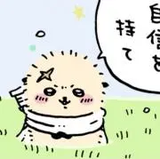 雪の画像