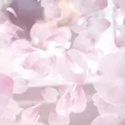 RiRiの画像