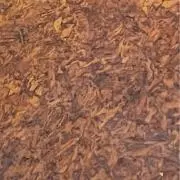 きんぴらの画像