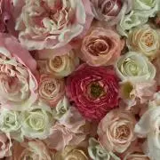 ゆるりの画像