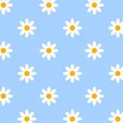 ハルフ