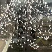 ティノキングの画像
