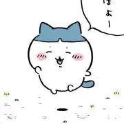 ゆーさんの画像