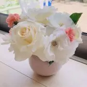 キラキラ星