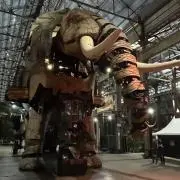 Tazoの画像