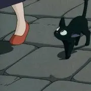 ジジの画像