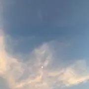 ゆずぽんずの画像