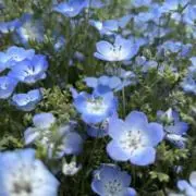 airiiiii_24時間以内発送の画像