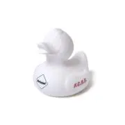 Saulの画像