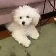 ナ