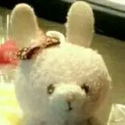 ny★の画像