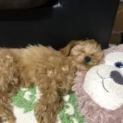 もろもろの画像