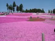 Mar