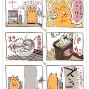 ナカムラさんち