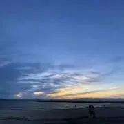 じゅぴの画像