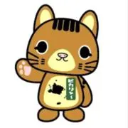⭐️tantan⭐️の画像