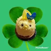 ときしらず※プロフご覧ください