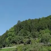 natsu