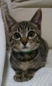 Image of ちっぷです☆丁寧なお取引心掛けています